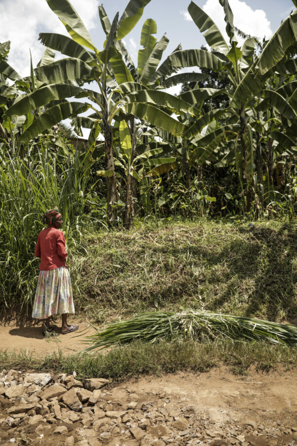 Rwanda — Macon & Lesquoy - Élodie Daguin