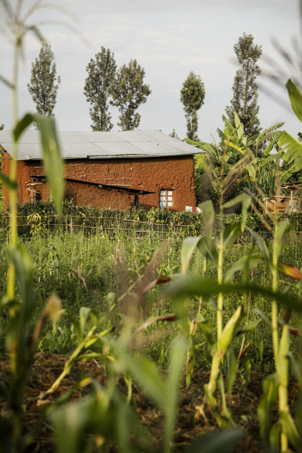 Rwanda — Macon & Lesquoy - Élodie Daguin