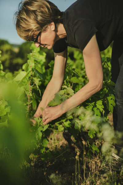 Pauline Champ — Fleur de Gamay - Élodie Daguin