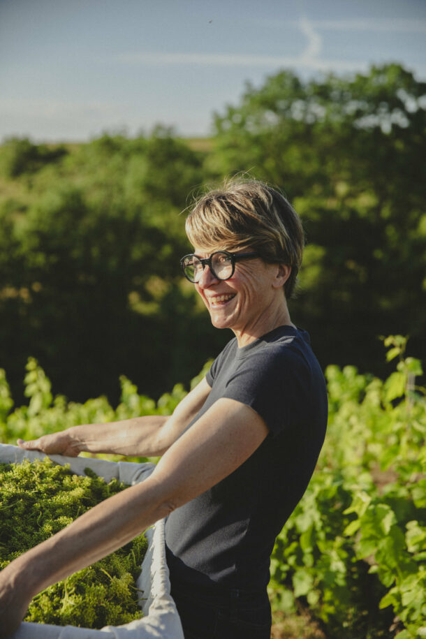 Pauline Champ — Fleur de Gamay - Élodie Daguin